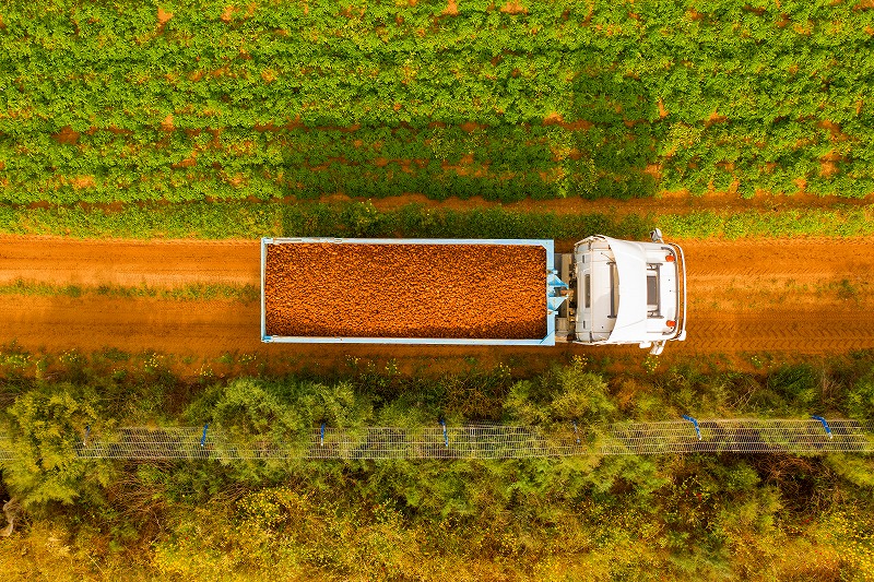 AdobeStock_344225261